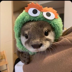 Meet your Posher, Ari